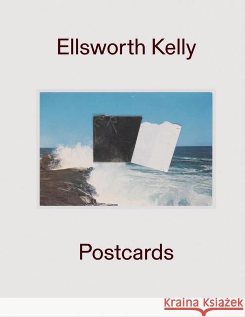 Ellsworth Kelly: Postcards Ellsworth Kelly 9781636810096 Delmonico Books - książka