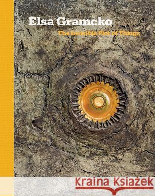 Elsa Gramcko: The Invisible Plot of Things Gramcko, Elsa 9781532378850 Sicardi Ayers Bacino - książka