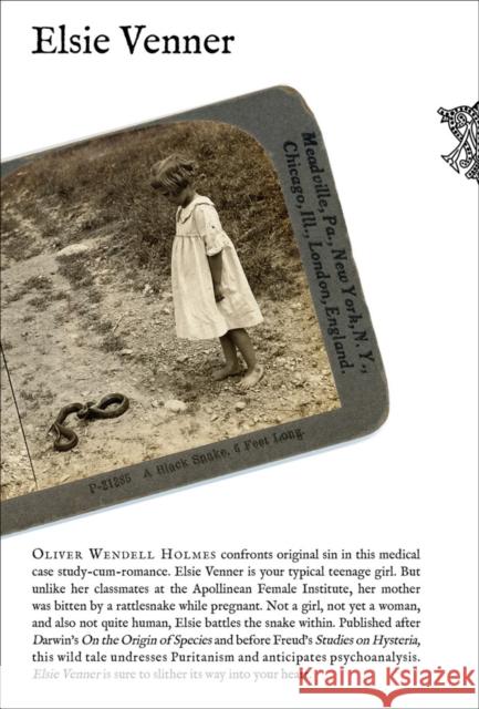 Elsie Venner Holmes, Oliver Wendell 9798988606161 Mandylion Press - książka