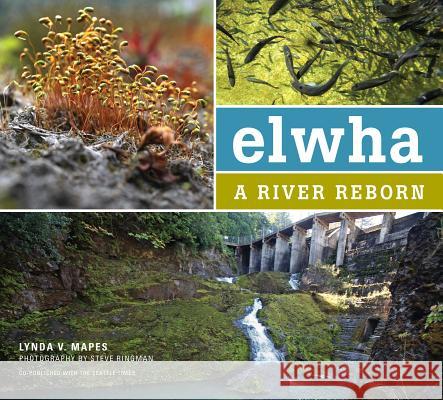 Elwha: A River Reborn Lynda Mapes Steve Ringman 9781594857348 Mountaineers Books - książka