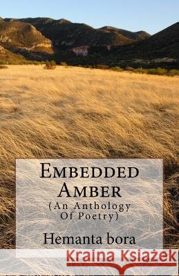 Embedded Amber: Soul- in Search of the Solace Bora 9781718804111 Createspace Independent Publishing Platform - książka