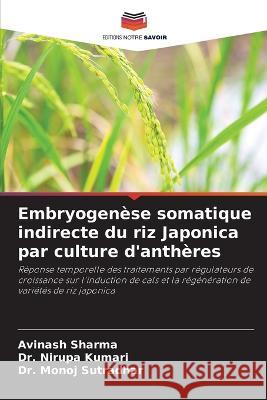 Embryogenese somatique indirecte du riz Japonica par culture d'antheres Avinash Sharma Dr Nirupa Kumari Dr Monoj Sutradhar 9786206037248 Editions Notre Savoir - książka