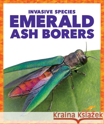 Emerald Ash Borers Alicia Z. Klepeis 9781636907925 Pogo Books - książka