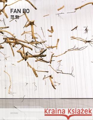 Emerging from Shadow Bo, Fan 9783954762521 Distanz - książka