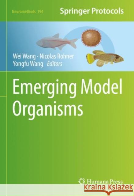 Emerging Model Organisms Wei Wang Nicolas Rohner Yongfu Wang 9781071628744 Humana - książka