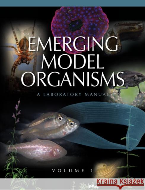 Emerging Model Organisms: A Laboratory Manual, Volume 1 Csh Press 9780879698720 Cold Spring Harbor Laboratory Press - książka