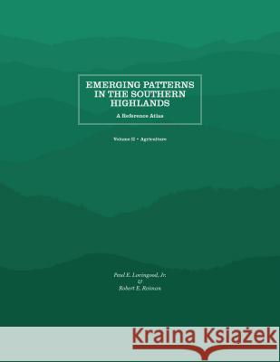 Emerging Patterns in the Southern Highlands: A Reference Atlas Paul E. Lovingood Robert E. Reiman Malinda L. Crutchfield 9781469642208 Appalachian State University - książka