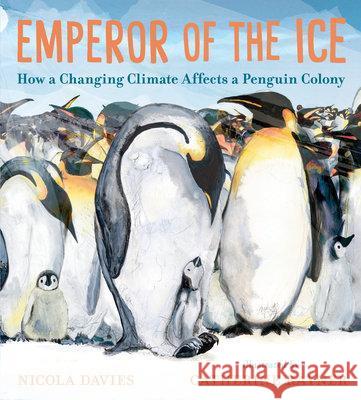 Emperor of the Ice: How a Changing Climate Affects a Penguin Colony Nicola Davies Catherine Rayner 9781536228397 Candlewick Press (MA) - książka