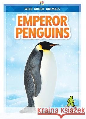 Emperor Penguins Renata Marie 9781645195078 Bigfoot Books - książka