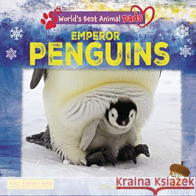Emperor Penguins  9781788565943 Ruby Tuesday Books - książka