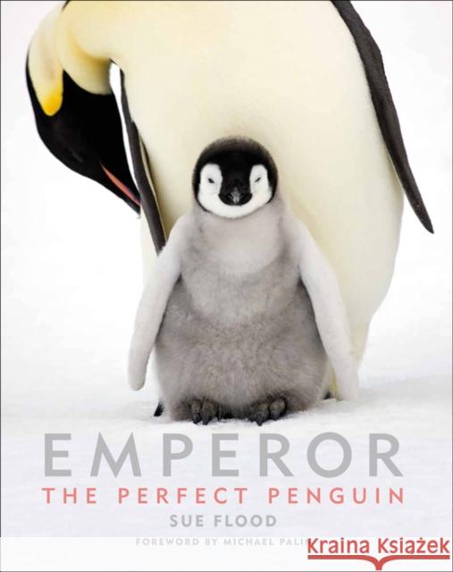 Emperor: The Perfect Penguin Sue Flood Michael Palin 9781851499021 Acc Art Books - książka
