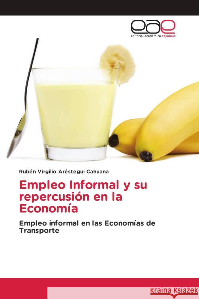 Empleo Informal y su repercusión en la Economía Aréstegui Cahuana, Rubén Virgilio 9783841764409 Editorial Académica Española - książka