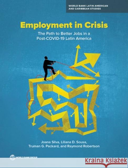 Employment in Crisis Silva, Joana 9781464816727 World Bank Publications - książka