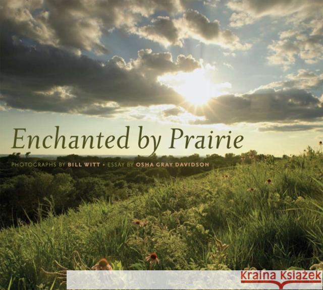 Enchanted by Prairie Bill Witt Bill Witt Osha Gray Davidson 9781587298035 University of Iowa Press - książka