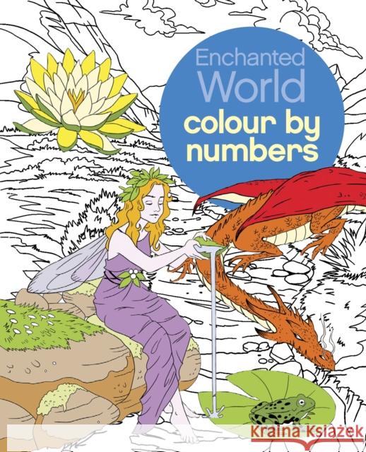Enchanted World Colour by Numbers Nathalie (Illustrator) Ortega 9781784283858 Arcturus Publishing Ltd - książka