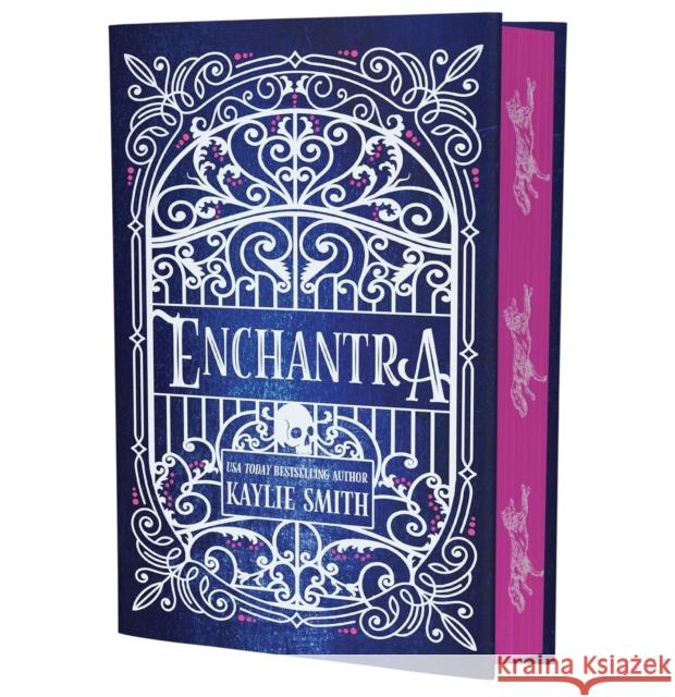 Enchantra: A spicy fantasy romance Kaylie Smith 9781836186717 Bookouture - książka
