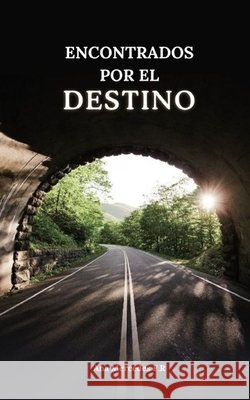 Encontrados Por El Destino: Una Novela de Romance Contemporaneo Anibal Antonio Flores Ana Mercedes F 9789801851097 Ana Mercedes Fr - książka