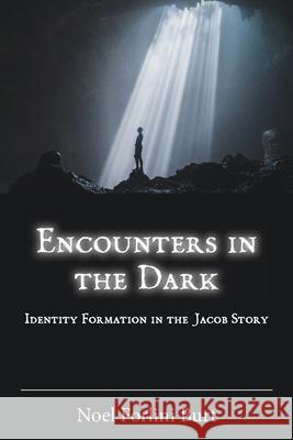 Encounters in the Dark: Identity Formation in the Jacob Story Noel Forlin 9781628372847 SBL Press - książka