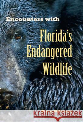 Encounters with Florida?S Endangered Wildlife Doug Alderson 9780813034768 University Press of Florida - książka