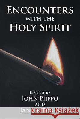 Encounters with the Holy Spirit John Piippo Janice Trigg 9781973663980 WestBow Press - książka