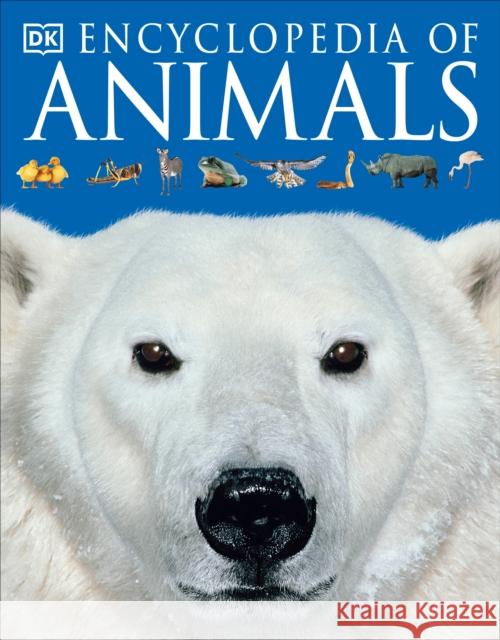 Encyclopedia of Animals Jonathan Elphick Jen Green Barbara Taylor 9780756619725 DK - książka