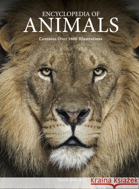 Encyclopedia of Animals David Alderton 9781838865610 Amber Books - książka