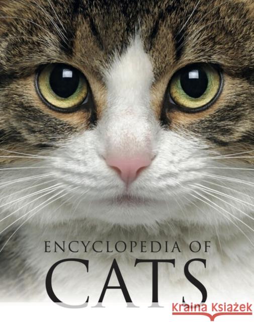 Encyclopedia of Cats Julianna Photopoulos 9781838864453 Amber Books Ltd - książka
