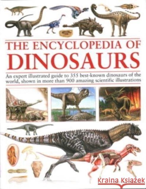 Encyclopedia Of Dinosaurs: The ultimate reference to 355 dinosaurs from the Triassic, Jurassic and Cretaceous periods, including more than 900 illustrations, maps, timelines and photographs Dougal Dixon 9781782143604 Anness Publishing - książka