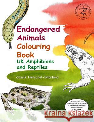 Endangered Animals Colouring Book: UK Amphibians and Reptiles Cassie Herschel-Shorland 9781905747467 My Fat Fox - książka