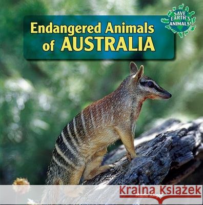 Endangered Animals of Australia Marie Allgor 9781448826445 PowerKids Press - książka