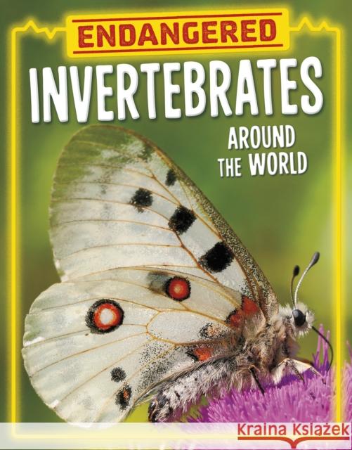 Endangered Invertebrates Around the World Golriz Golkar 9781398258433 Capstone Global Library Ltd - książka