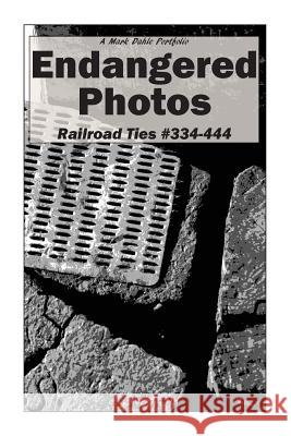 Endangered Photos: Railroad Ties #334-444 Mark Dahle 9781946112118 Mark Dahle Portfolios - książka