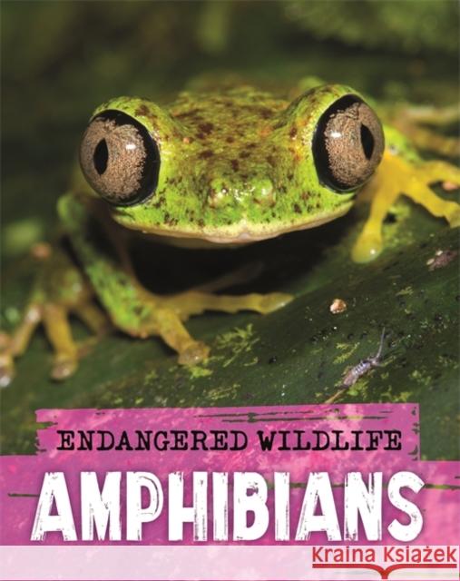 Endangered Wildlife: Rescuing Amphibians Anita Ganeri 9781526309969 Hachette Children's Group - książka
