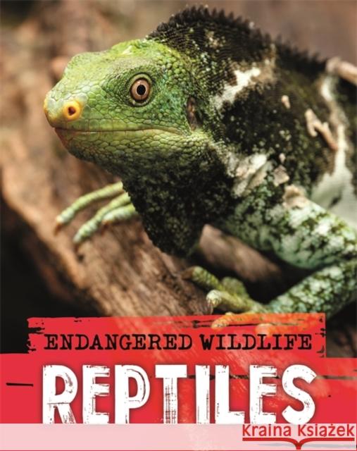 Endangered Wildlife: Rescuing Reptiles Anita Ganeri 9781526309945 Hachette Children's Group - książka