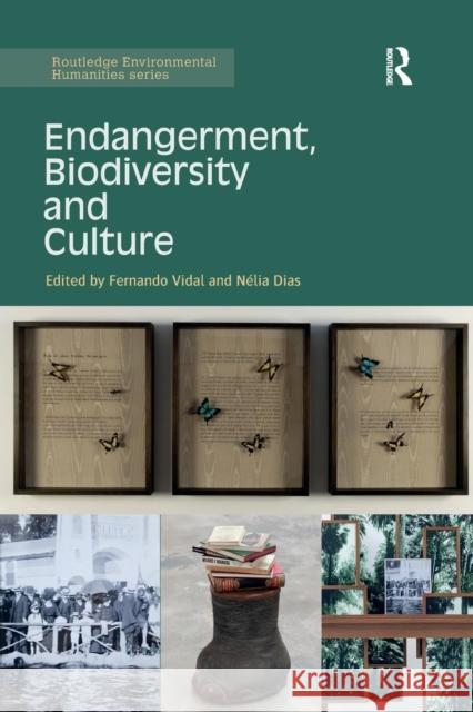 Endangerment, Biodiversity and Culture Fernando Vidal Nelia Dias 9781138743564 Routledge - książka