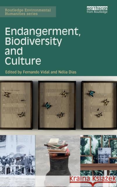 Endangerment, Biodiversity and Culture Fernando Vidal Nelia Dias 9781138847415 Routledge - książka