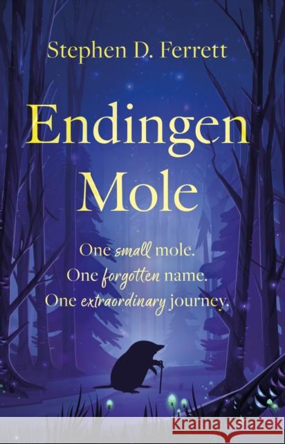 Endingen Mole Stephen D. Ferrett 9781806341351 Troubador Publishing - książka