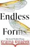 Endless Forms: The Secret World of Wasps Seirian Sumner 9780008394479 HarperCollins Publishers