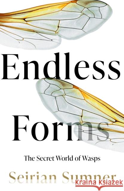 Endless Forms: The Secret World of Wasps Seirian Sumner 9780008394486 HarperCollins Publishers - książka