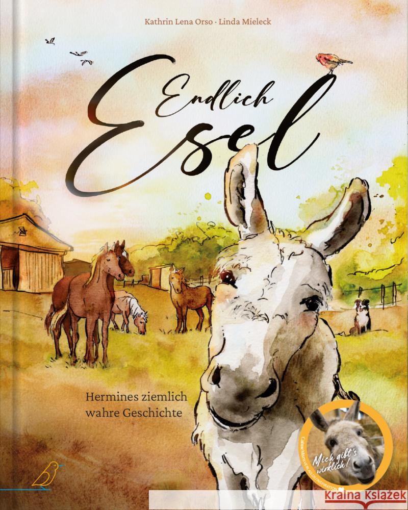 Endlich Esel Orso, Kathrin Lena 9783948877385 CalmeMara Verlag - książka