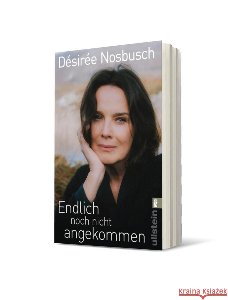 Endlich noch nicht angekommen Nosbusch, Désirée 9783548067834 Ullstein TB - książka