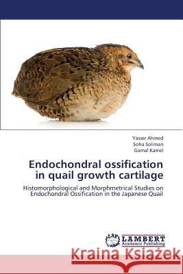 Endochondral Ossification in Quail Growth Cartilage  9783659317477 LAP Lambert Academic Publishing - książka