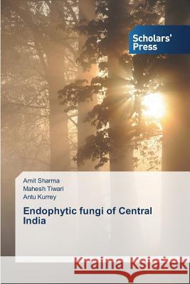Endophytic fungi of Central India Sharma Amit                              Tiwari Mahesh                            Kurrey Antu 9783639860009 Scholars' Press - książka