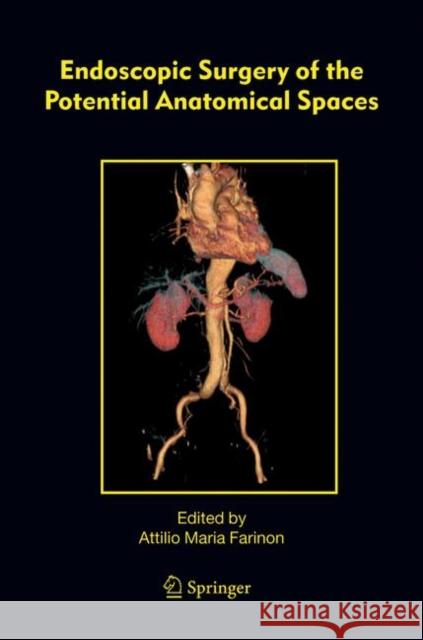 Endoscopic Surgery of the Potential Anatomical Spaces Attilio M. Farinon F. Rulli 9781402028090 Springer Netherlands - książka