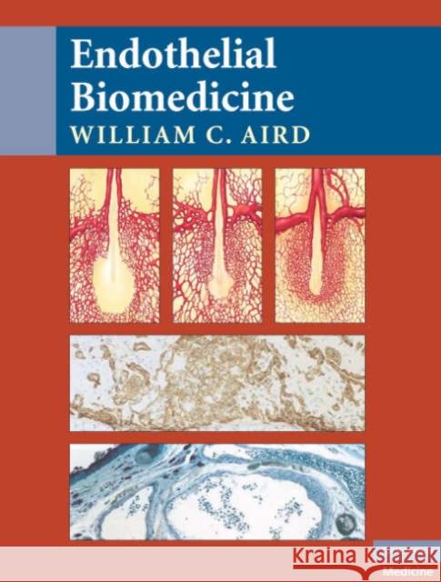 Endothelial Biomedicine William Aird William Aird 9780521853767 Cambridge University Press - książka