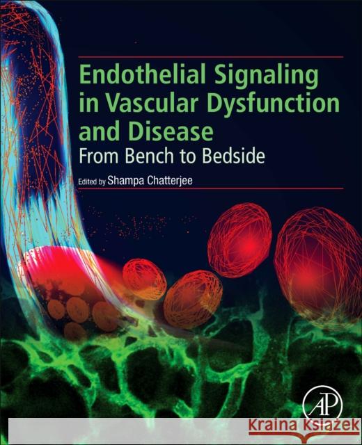 Endothelial Signaling in Vascular Dysfunction and Disease: From Bench to Bedside Chatterjee, Shampa 9780128161968 Academic Press - książka