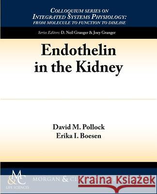 Endothelin in the Kidney David Pollock D. Neil Granger Joey Granger 9781615042104 Morgan and Claypool Life Sciences - książka