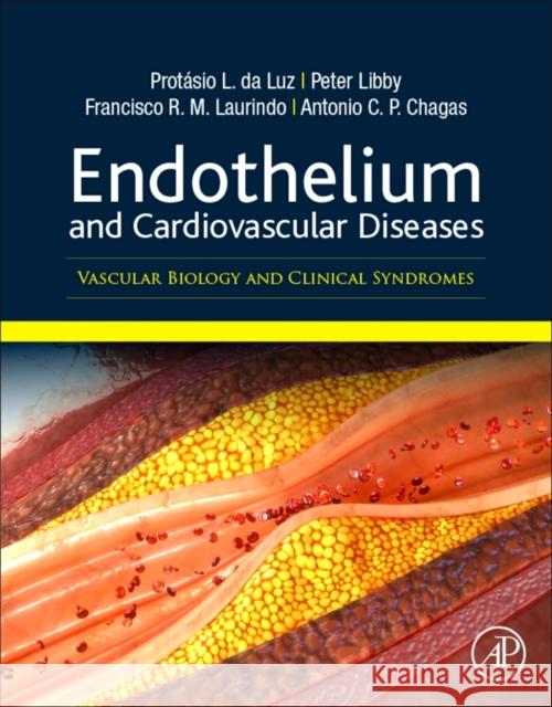 Endothelium and Cardiovascular Diseases: Vascular Biology and Clinical Syndromes Da Luz, Protasio Lemos 9780128123485 Academic Press - książka