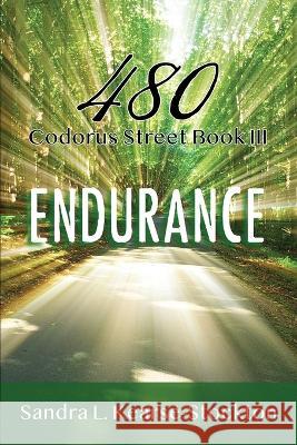 Endurance: 480 Codorus Street Book 3 Sandra L Kearse-Stockton 9798887228655 Primedia Elaunch LLC - książka