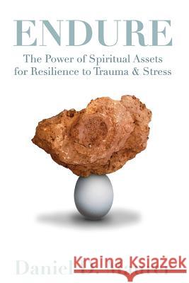 Endure: The Power of Spiritual Assets for Resilience to Trauma & Stress Daniel D. Maurer 9780997328608 Mount Curve Press - książka